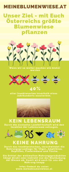 Infografik - Insektensterben